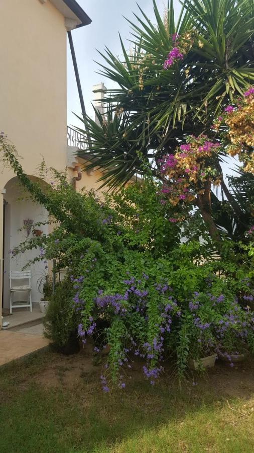 B&B Villa Orchidea ออลเบีย ภายนอก รูปภาพ