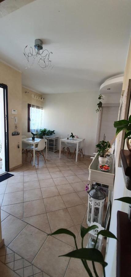 B&B Villa Orchidea ออลเบีย ภายนอก รูปภาพ